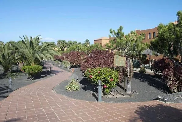 Oasis Royal 1D Daire Corralejo