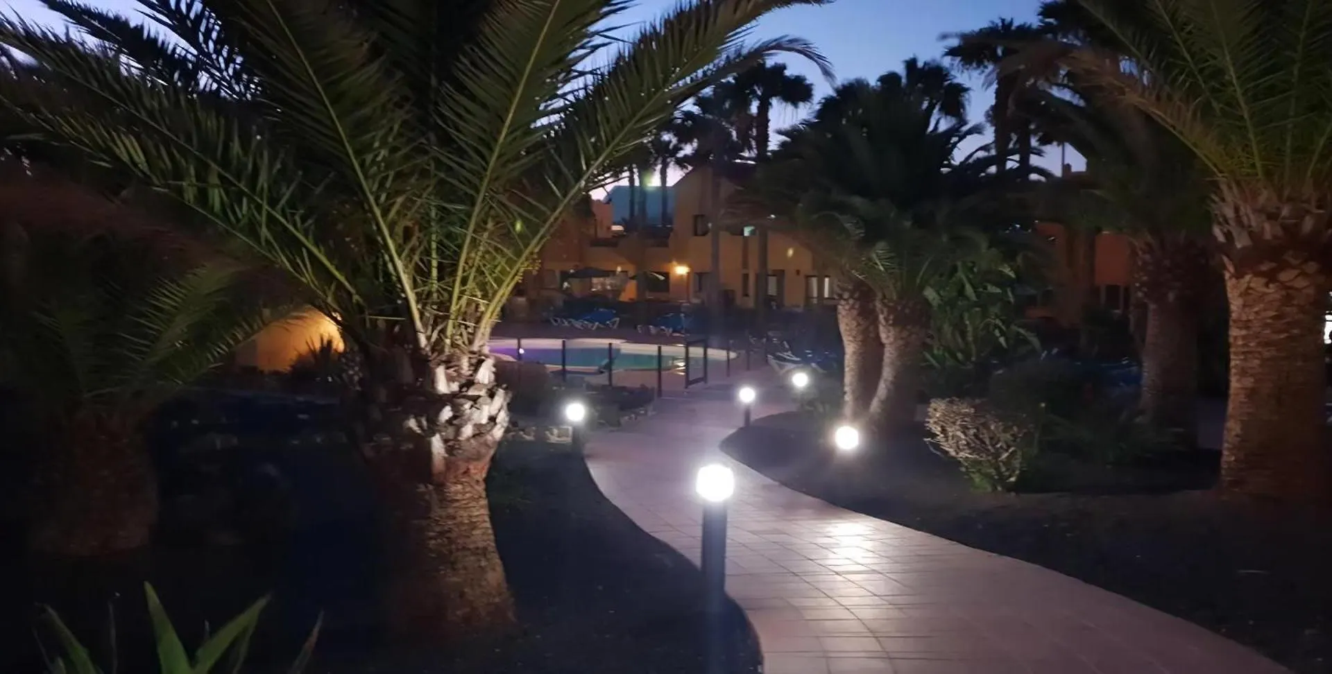 Oasis Royal 1D Daire Corralejo